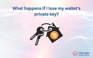 What happens if I lose my wallet’s private key